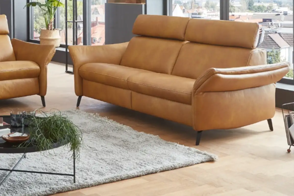   2,5-Sitzer Sofa echt Leder • Reso Möbel